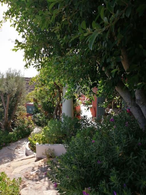 Vila Casa Dei Melograni At Vourlidia Leros Vromolithos Exteriér fotografie