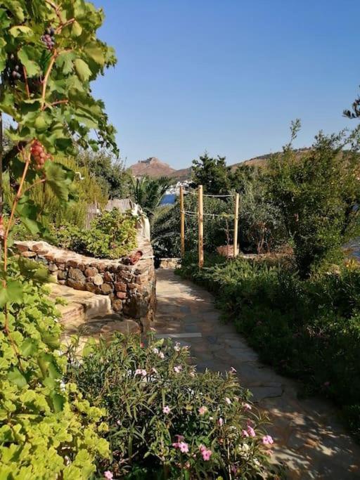 Vila Casa Dei Melograni At Vourlidia Leros Vromolithos Exteriér fotografie